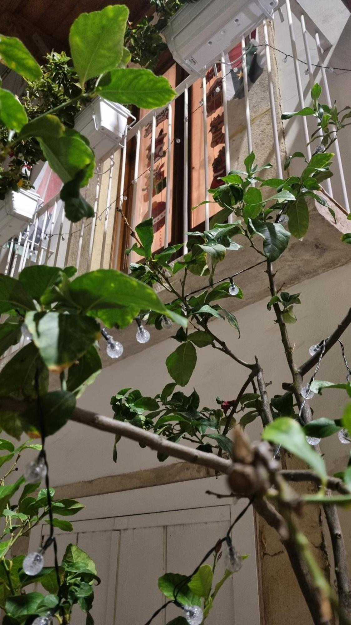 In Parva Domus Διαμέρισμα Bitonto Εξωτερικό φωτογραφία